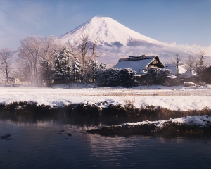 サプリメントの副作用と弊害